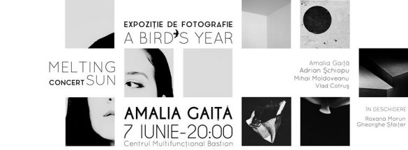 a birds year amalia gaita