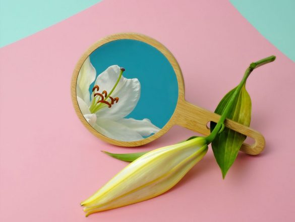 freakebana un nou stil de decorațiune