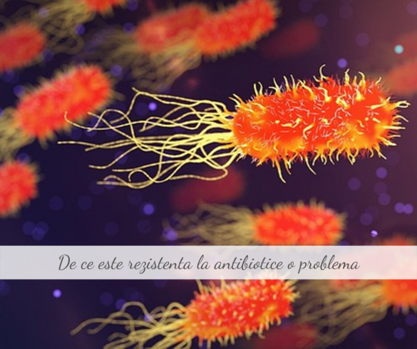 rezistenta la antibiotic