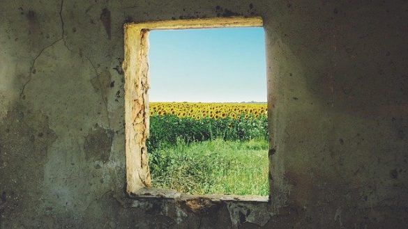 război în ucraina noi ce facem?